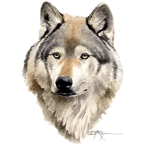 Lake Ridge Middle School Logo